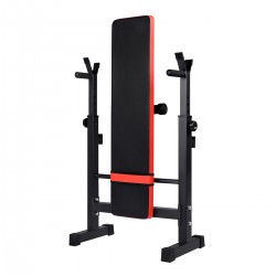 BANCO DE GIMNASIO AM-EWL88