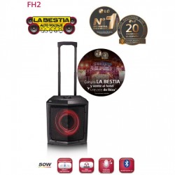 CADENA LG FH2 50W W6,5 BT4.0 BATERIA KARAOKE