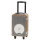 ALTAVOZ TROLLEY DENVER TSP-150 BLUETOOTH 15W