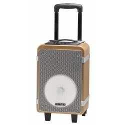 ALTAVOZ TROLLEY DENVER TSP-150 BLUETOOTH 15W