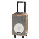 ALTAVOZ TROLLEY DENVER TSP-150 BLUETOOTH 15W