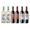 Lote de 6 Botellas de Vino - Verdejo - Ribera Duero - Rioja
