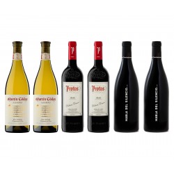 Lote de 6 Botellas de Vino - Ribera Duero - Tinto crianza - Albariño