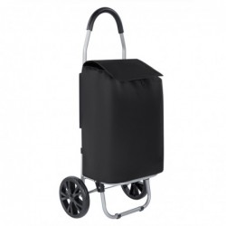 Carro de Compra Plegable 2 Ruedas Grandes | Carrito de la Compra Ligero con Bolsa Impermeable y Desmontable | Hasta 25kg