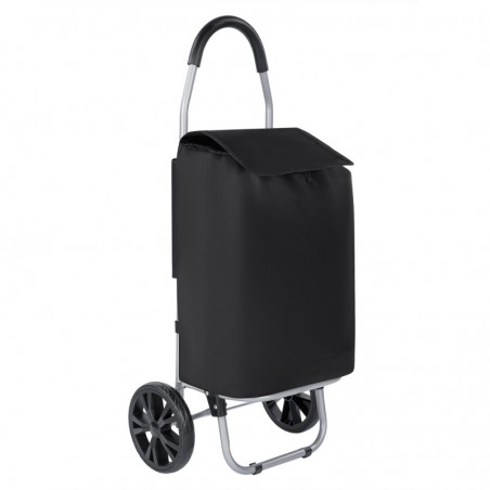 Carro de Compra Plegable 2 Ruedas Grandes | Carrito de la Compra Ligero con Bolsa Impermeable y Desmontable | Hasta 25kg