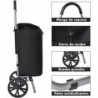 Carro de Compra Plegable 2 Ruedas Grandes | Carrito de la Compra Ligero con Bolsa Impermeable y Desmontable | Hasta 25kg