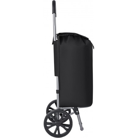Carro de Compra Plegable 2 Ruedas Grandes | Carrito de la Compra Ligero con Bolsa Impermeable y Desmontable | Hasta 25kg
